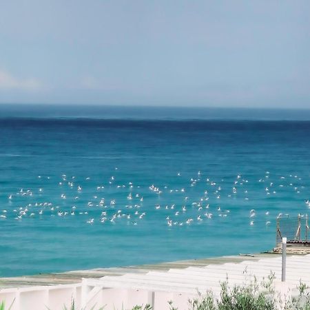 Kale Bed and Breakfast Giovinazzo Buitenkant foto